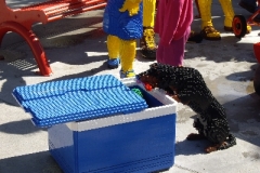 image001