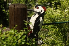 image038